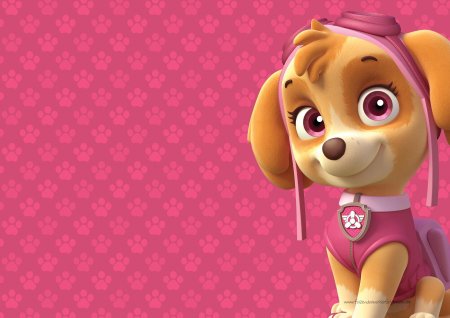 Paw Patrol Скай