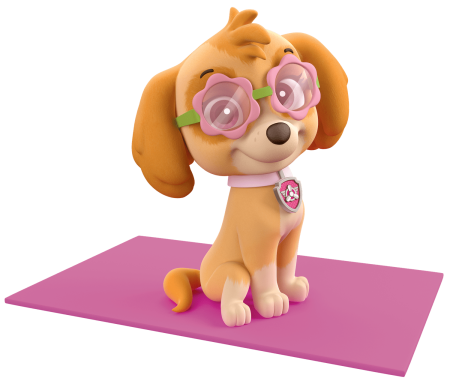 Paw Patrol Sea Patrol