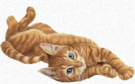 Кошка мультяшка