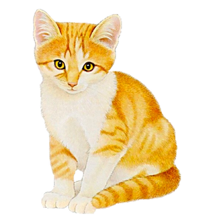 Котенок рисунок на прозрачном фоне