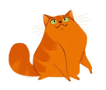 Рыжий кот