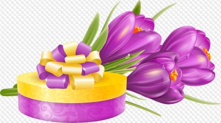 Подарки и цветы на прозрачном фоне