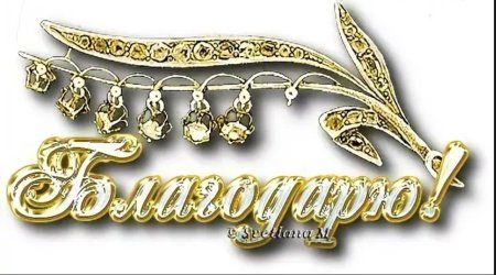 Благодарю на прозрачном фоне