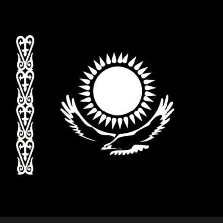 Казахстанский флаг черный флаг