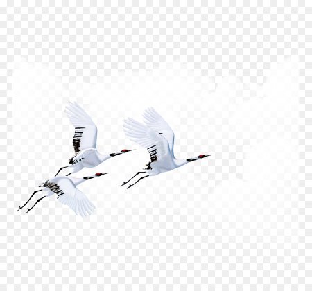 Стая журавлей на прозрачном фоне