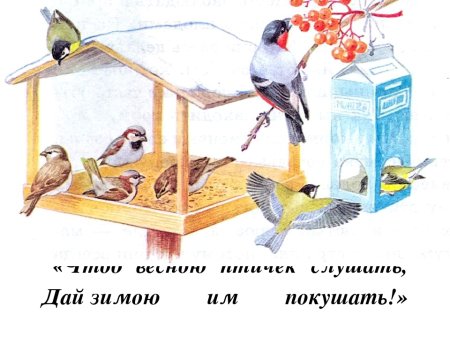 Кормушка для птиц иллюстрация