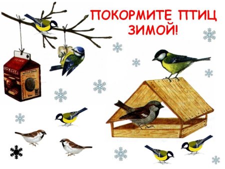 Покорители птичц зимой