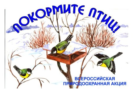 Акция Накорми птиц