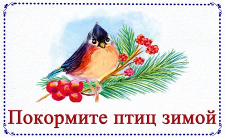 Покормите птиц зимой