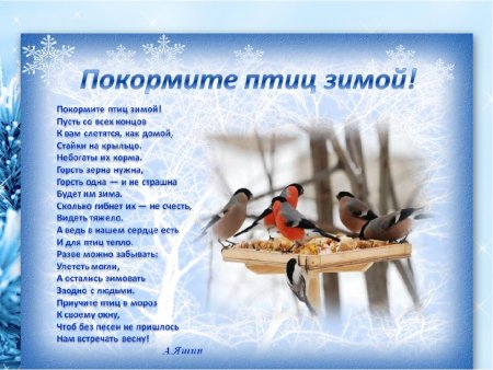 Стих Покормите птиц зимой
