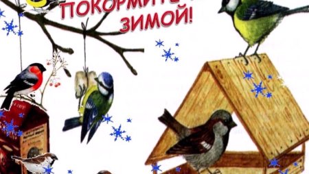 Акция кормушка для зимних птиц