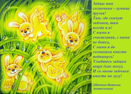 Солнечный зайчик
