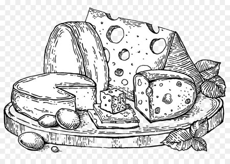 Сыр клипарт черно белый (42 фото)