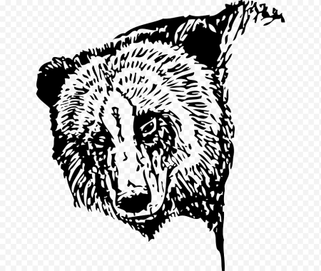 Медведь вектор чб