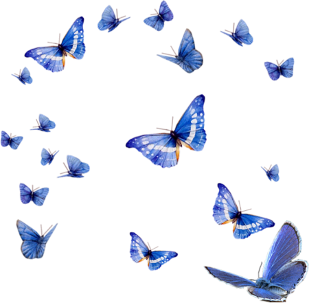 Бабочки синие клипарт (50 фото)