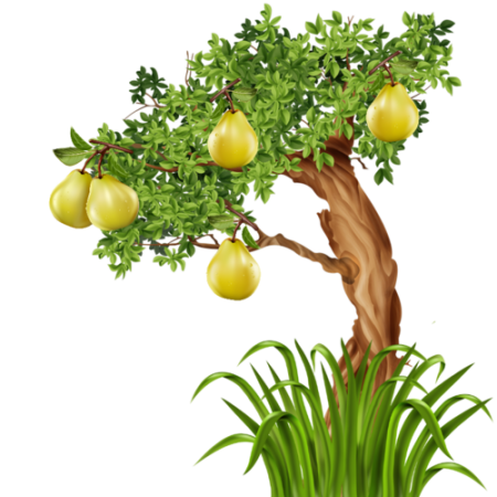 Фруктовые деревья на белом фоне