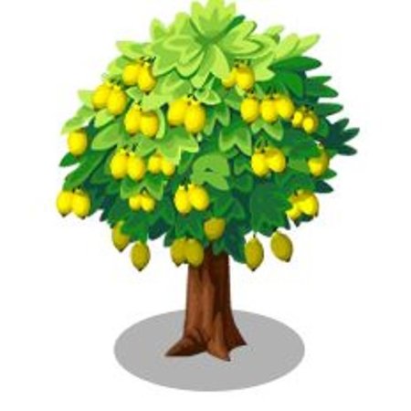 Лимоновое дерево для детей