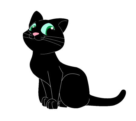 Черная кошка на белом фоне