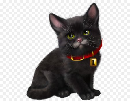 Кошечка без фона