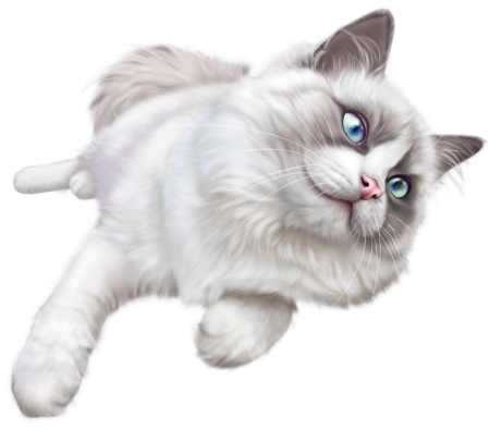 Кошка на прозрачном фоне