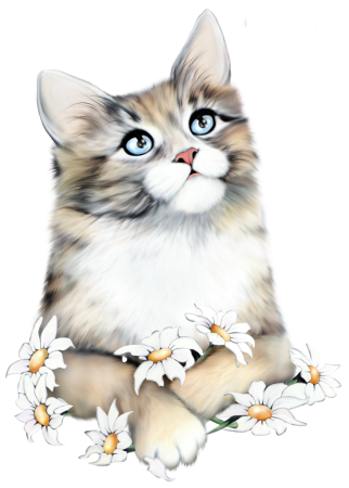 Кошка на прозрачном фоне