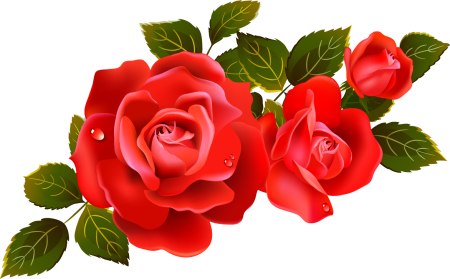 Цветы клипарт красные розы (49 фото)