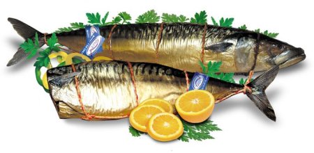 Скумбрия на прозрачном фоне