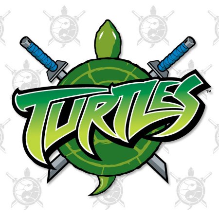 Teenage Mutant Ninja Turtles 2003 logo