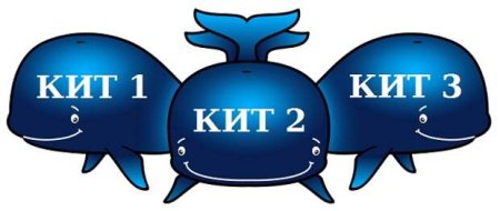Три кита