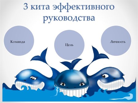 РТИ кита