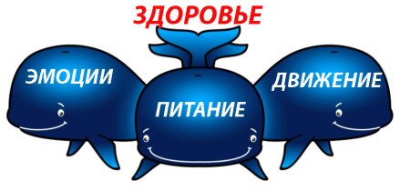 РТИ кита