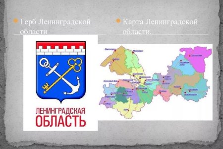 Эмблема комитета культуры Ленинградской области