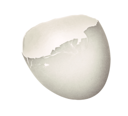 Клипарт скорлупа от яиц (44 фото)