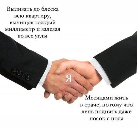 Спасибо за сотрудничество