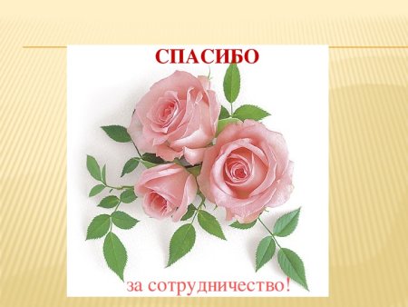 Соглашение человечки
