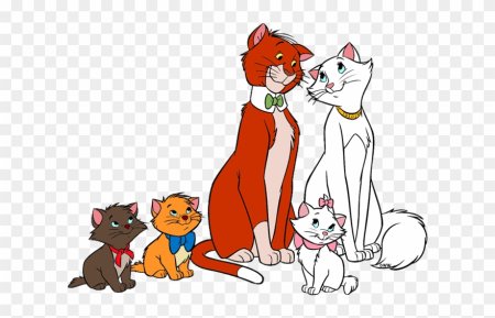 Коты Аристократы кот Ромео