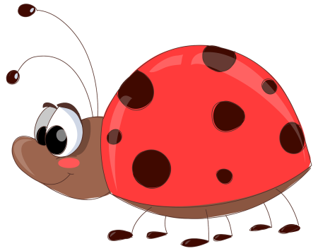 Божья коровка ПГН