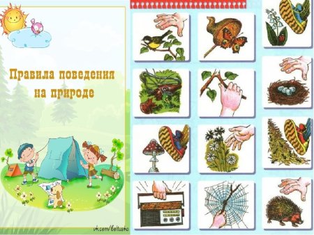 Правила поведения в лесу для дошкольников