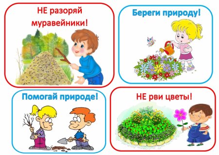 Правила поведения на природе