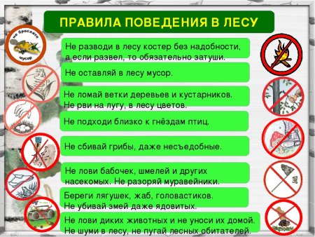 Экологические знаки для детей