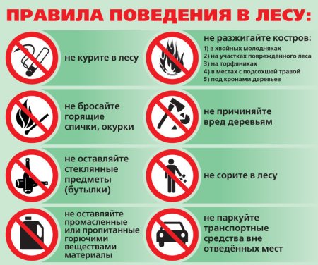 Неправильное поведение в лесу