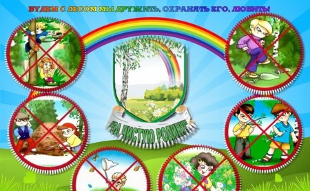 Поведение в лесу для детей