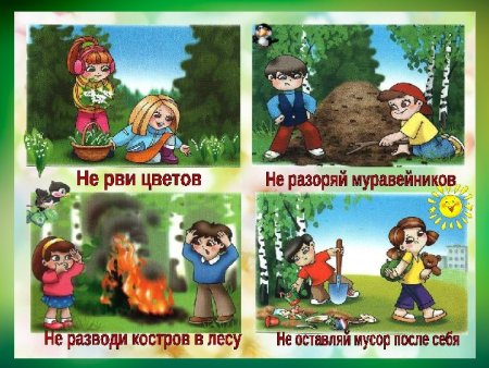 Знаки что нельзя делать в лесу