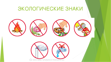 Правила поведения на природе