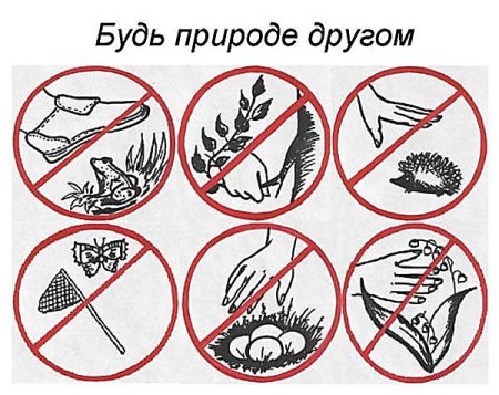 Экологические знаки