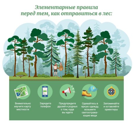 Правила безопасного поведения в лесу для дошкольников
