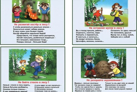 Неправильное поведение в лесу