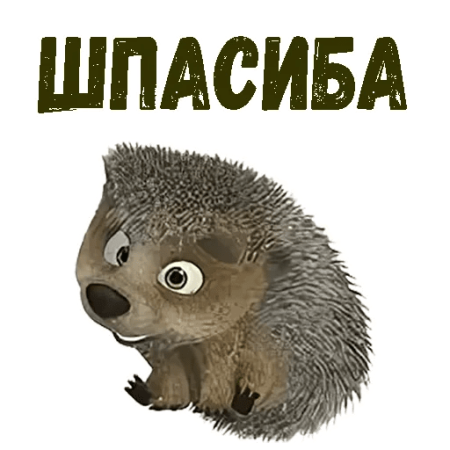 Белки из Маши и медведя