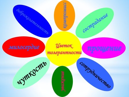 Ромашка толерантности