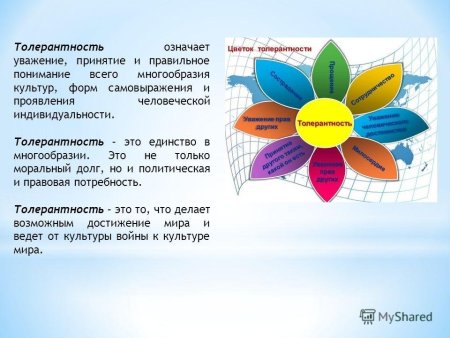Цветок толерантности в школе